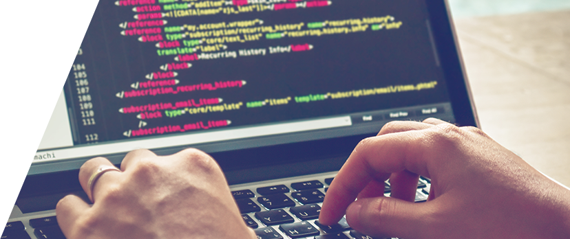 ▼開発言語(ツール)